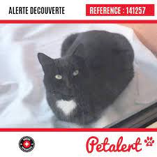 cette alerte 141257 est desormais close elle n est donc plus visible sur la plate forme petalert suisse l emetteur de cette alerte ne s est plus man schweiz