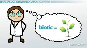 What Is Biotic Potential Definition Examples Video Lesson Transcript Study Com