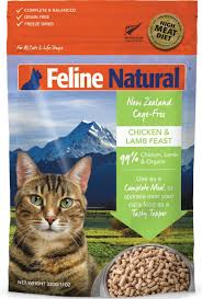Shop with confidence at competitive. The 7 Best Frozen And Freeze Dried Raw Cat Food Of 2021