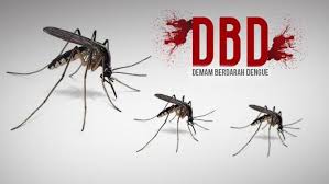 Jumlah penderita dbd setiap tahun terus meningkat di seluruh dunia. 6 Cara Pencegahan Demam Berdarah Di Rumah Yang Aman Dan Efektif Hot Liputan6 Com