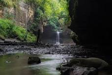 Matthiessen State Park Guided Hike