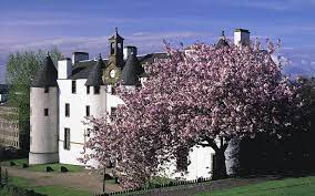 They are planted directly into topsoil to a depth of 60cm (2 feet), to provide support while the roots grow. Beautiful Scottish Castle Flowering Tree Wallpaper Nature And Landscape Wallpaper Better