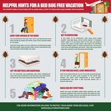 Fly bug killer led trap lamp pest control usb electric insect zapper mosquito. 15 Pest Control Ideas Pest Control Pests Infographic