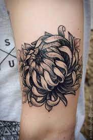 45 Beautiful Chrysanthemum Tattoo Ideas Cuded Chrysanthemum Tattoo Tattoos Picture Tattoos