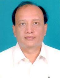 The Journey of Indian Languages: Perspectives