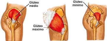 Exercícios para glúteo máximo | Questões de fisioterapia comentadas