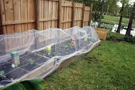 Row Covers Using Tulle Raised Garden Beds Garden Beds Raised Garden