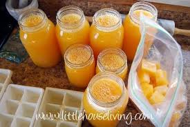 Saving Orange Juice Frozen Juice Dried Orange Peel Orange Recipes