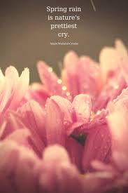 Nature Quote About Spring With A Pink Flower In The Rain Spring Rain Is Nature S Prettiest Cry Quotes Flower Quotes Flower Quotes Love Spring Quotes