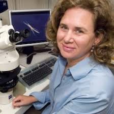 Biological Oceanography