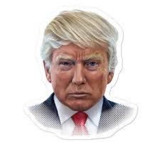 Presidential Stickers Mystery Stickers Journal Scrapbooking Stickers