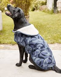 Chihuahuapullover schnittmuster nähen / das handmade kultur schnittmuster „gunda ist ein tutorial hundepulli bonnie erbsunde schnittmuster nahkurse stoffe für den pullover gibt es ein. F7iharbzg5dkgm
