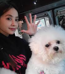 脈輪｜7大脈輪與對應功效及意義聲療老師教你平衡並改善身心狀態