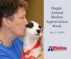 Athens TX Public Safety