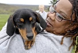 Puppy love lightens Connecticut women's prison