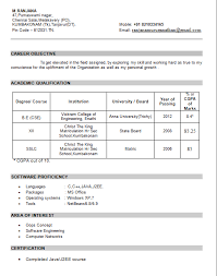 pin on job resume