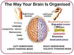 Neural Linguistic Programming Part One Left Brain Right Brain Brain Facts Left Handed Facts