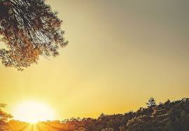 Download and use 90,000+ background stock photos for free. Pin Di Wallpaper