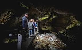 Te Anau Sightseeing Coach Tour Te Anau Glowworm Caves Ex Queenstown