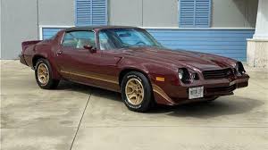 Image result for Dark Chamois 1981 Motor Home