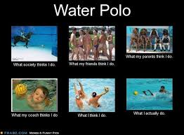 Pin By Barbra Barbra On Water Polo Memes Water Polo Funny Water Polo Water Polo Quotes