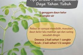 We did not find results for: Daun Kelor Alternatif Yang Bisa Dimanfaatkan Obati Diabetes Antara News