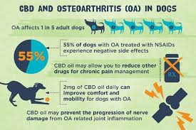 Arthritis in dogs is not a curable condition, but there are many treatments and therapies available to effectively control and manage your pet's pain and discomfort. Cbd Oil For Dogs With Arthritis The Bark