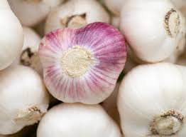 Et comme, à chaque utilisation sa pomme de terre, nous avons décidé de vous donnez le choix ! Comment Lutter Contre L Alternariose De La Tomate Jardiner Malin