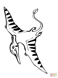 Coloriage Pteranodon Qui Vole Coloriages A Imprimer Gratuits