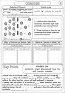 Gcse Biology Diffusion Osmosis And Active Transport Worksheet Pack Biology Worksheet Osmosis Biology