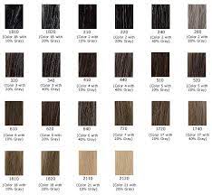 Basic Gray Colors Grey Hair Color Hair Color Shades Grey Colour Chart