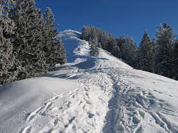 The baumgartenschneid is a 1,448 metre high mountain in the bavarian prealps above the tegernsee to the east. Baumgartenschneid Wikipedia