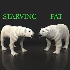3d Model 2 Bears Bony Skinny Starving Ravenous Emaciated Gaunt Polar Vr Ar Low Poly Cgtrader