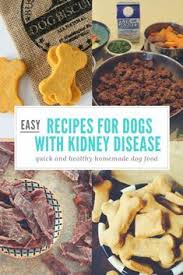 Your Guide To Feeding Your Dog With Kidney Disease In 2020 Dog Kidney Disease Diet Kidney Disease Recipes Healthy Dog Food Recipes