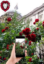 Home & garden 4u added 4 new photos. A Mouse Click Away Leo