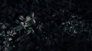 Maybe you would like to learn more about one of these? 20 Aesthetic Black Wallpapers Wallpaperboat