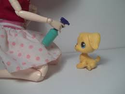Are You A Spray Bottle Dog Trainer Stop The Squirting