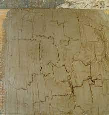 Modern Country Style How To Crackle Your Annie Sloan Paint And Make Coloured W Annie Sloan Paints Cracked Paint Crackle Painting