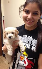 Grieving the Loss of a Child