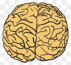 Maybe you would like to learn more about one of these? Brain Cartoon With Glasses And Books Cerebro Dibujo Animado Free Transparent Png Clipart Images Download