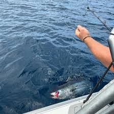 Nicola with another solid Yellow Fin. The girls are