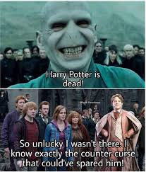 Would have loved a Lockhart cameo in one of the later movies! :  r/harrypotter