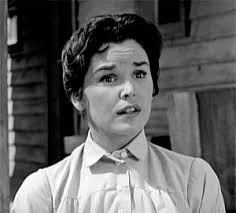 Television's New Frontier: The 1960s: Have Gun -- Will Travel (1960)