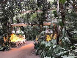 <place lat=52.401764 lon=16.900148 width=300px zoom=14 />. Palmiarnia Wyjatkowa Atrakcja Poznania Poznanskie Klimaty