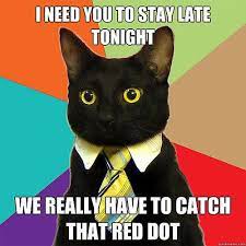 We Really Have To Catch That Red Dot On Business Cat Meme Business Cat Cat Memes