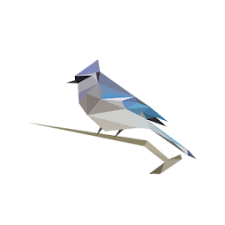 The merlin bird id app is often the best way to get started identifying birds. Birdnet Bird Sound Identification App Ranking And Store Data App Annie