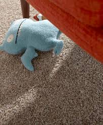 Smartstrand Stain Resistant Carpet Stain Proof Carpet