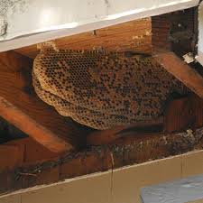 Others have already provided good, useful answers. Bees No Thank You Allsorts