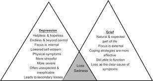 Typical signs of depression in adults include persistent feelings of sadness or emptiness, feeling irritated, overwhelming feelings of guilt, anxiety, frustration, or anger, changes in appetite, an inability to concentrate, and loss of interest in previously enjoyed activities. Clinical Features Distinguishing Grief From Depressive Episodes A Qualitative Analysis Sciencedirect