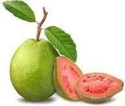 Tidak hanya itu namun jenis jambu yang satu ini. Manfaat Jambu Merah Untuk Ibu Hamil